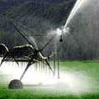 Water Sprinkler